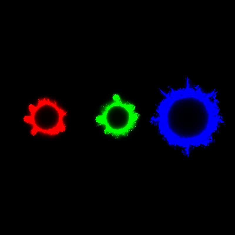 Physarum polycephalum #20 static token preview