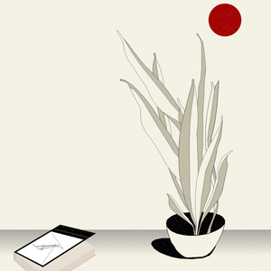 Still Life #2 project preview