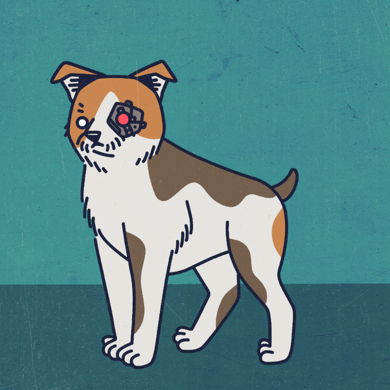 future_dogs #16 static token preview