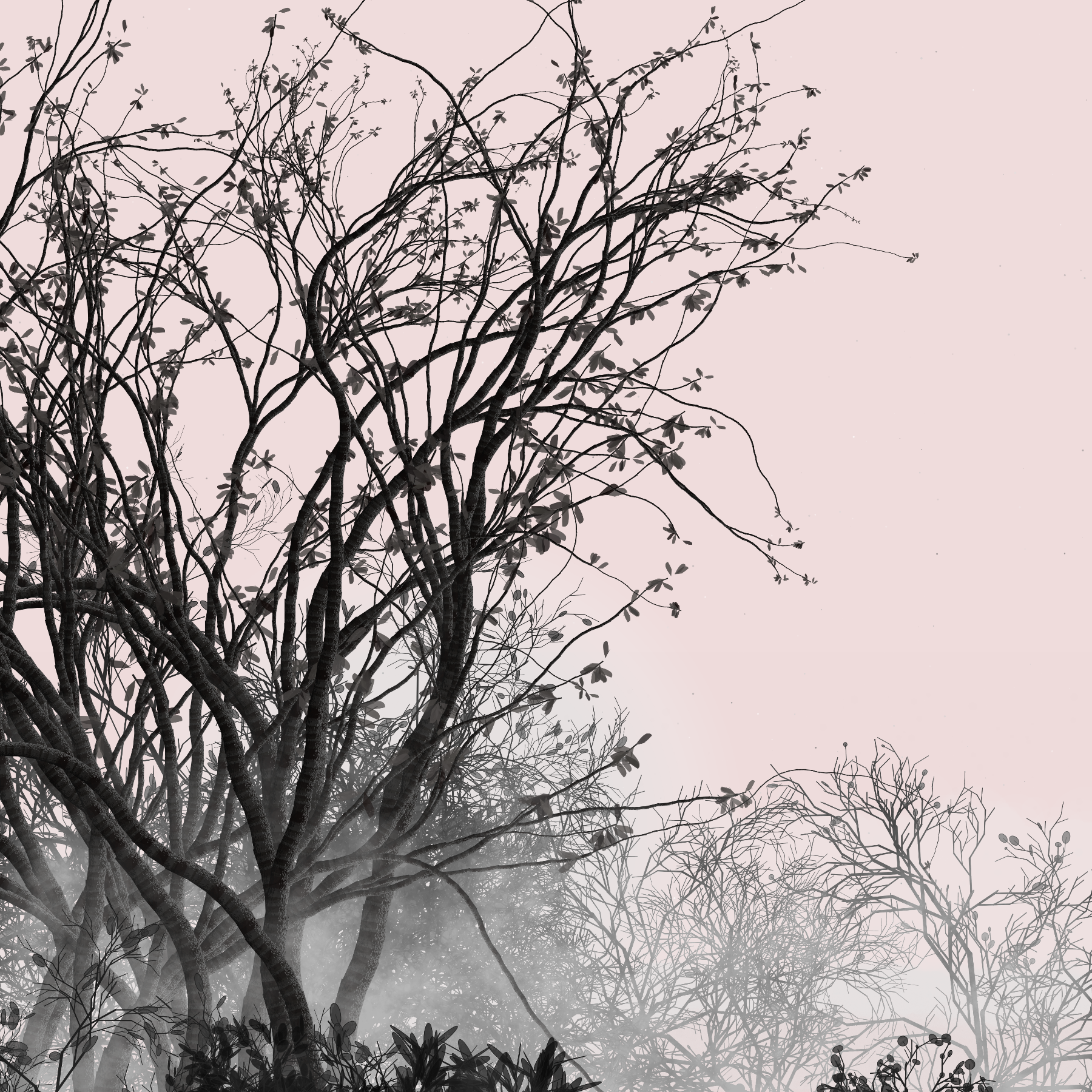 Morning Mist #156 static token preview