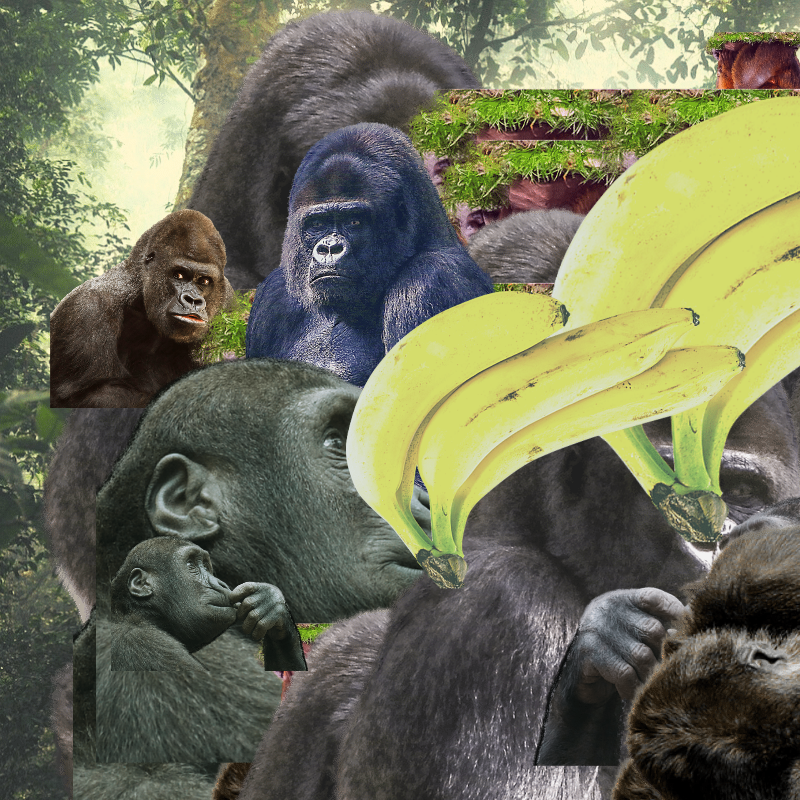 Banana #1 #10 static token preview
