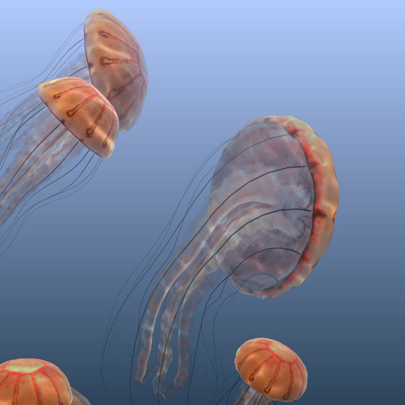 Jellyfish #5 static token preview