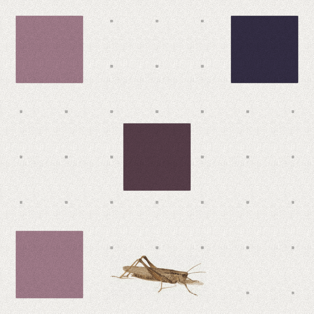 Grasshopper #3 static token preview
