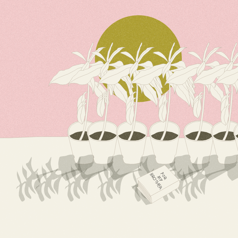 Still Life #12 #10 static token preview