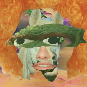 A collage of collages project preview