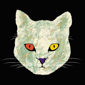 Kitten project preview
