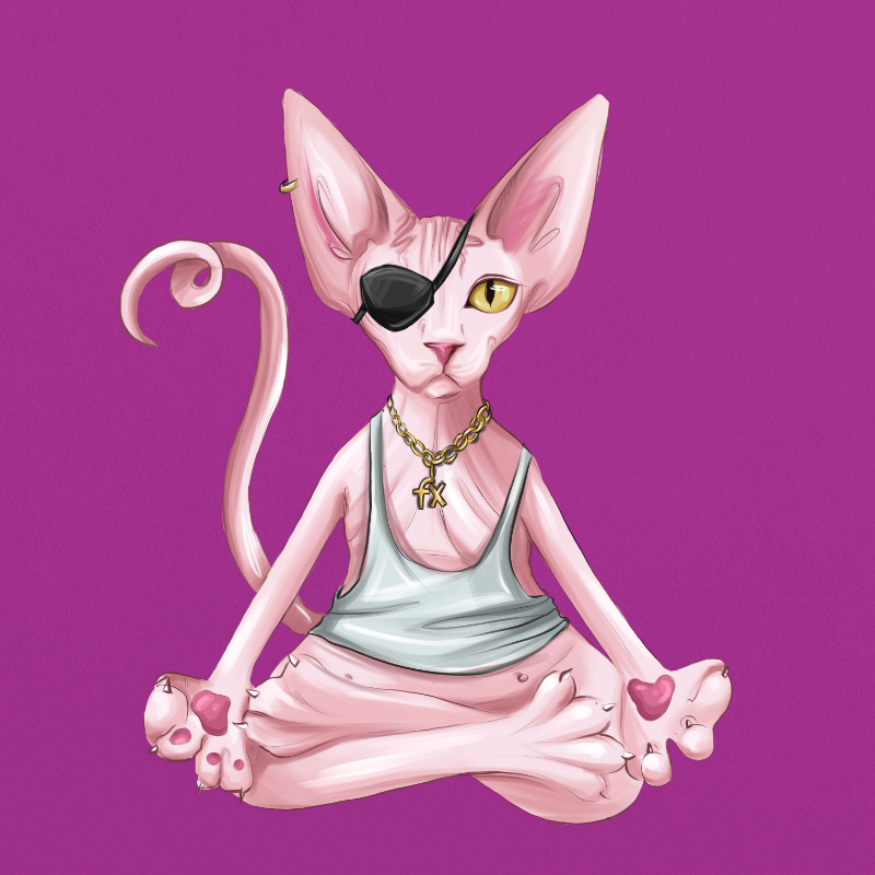 YogaCat #12 static token preview