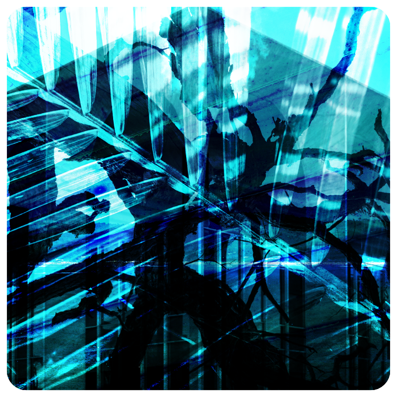 savedScapes #8 static token preview