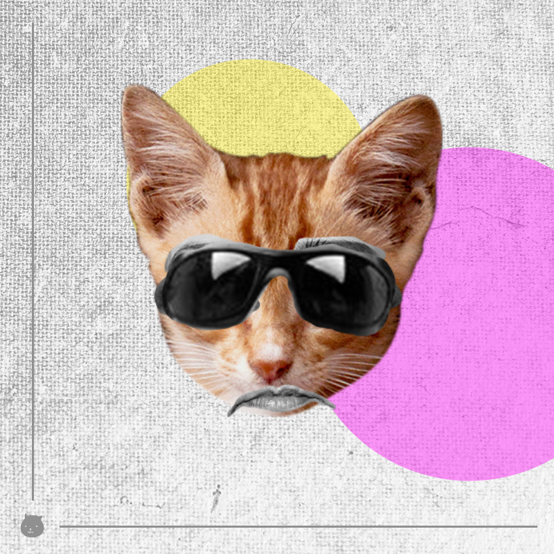 Kittenstein #23 static token preview
