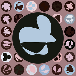 Polygon Shape project preview