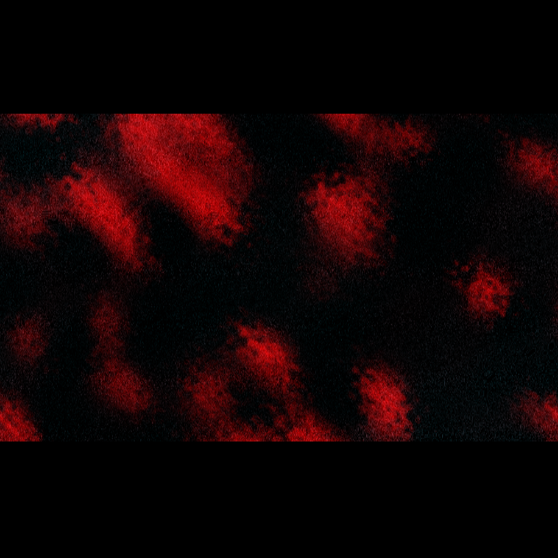 ƧЦBƧƬЯΛƬӨ DΣ PӨΣIЯΛ #18 static token preview