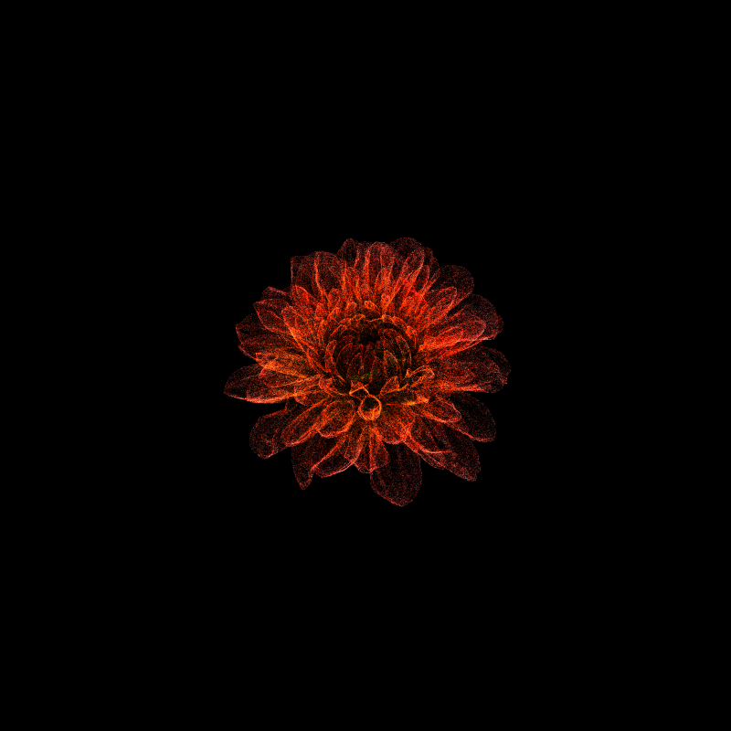 Dahlia Pinnata 30 #6 static token preview