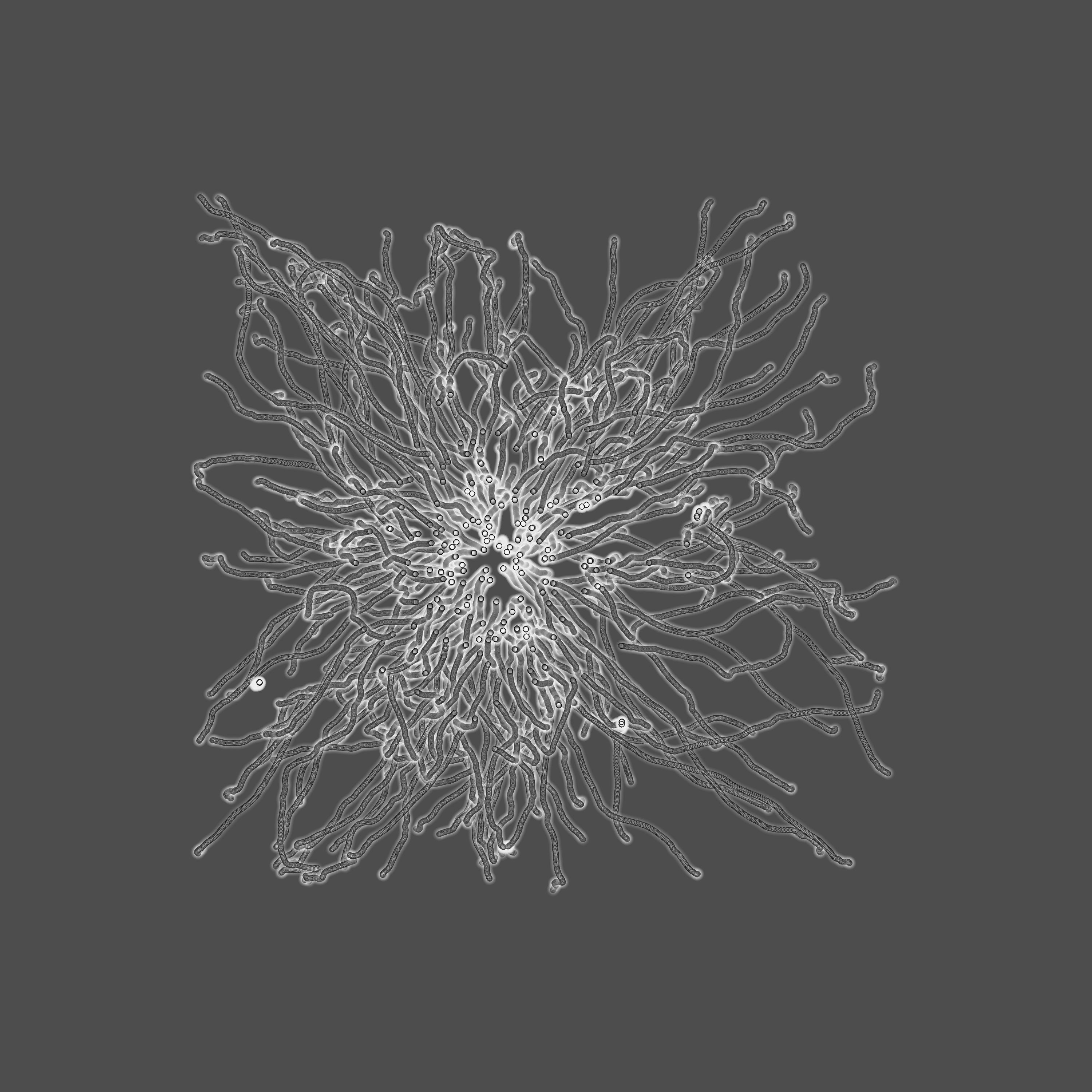 grey fungi wisdom #20 static token preview