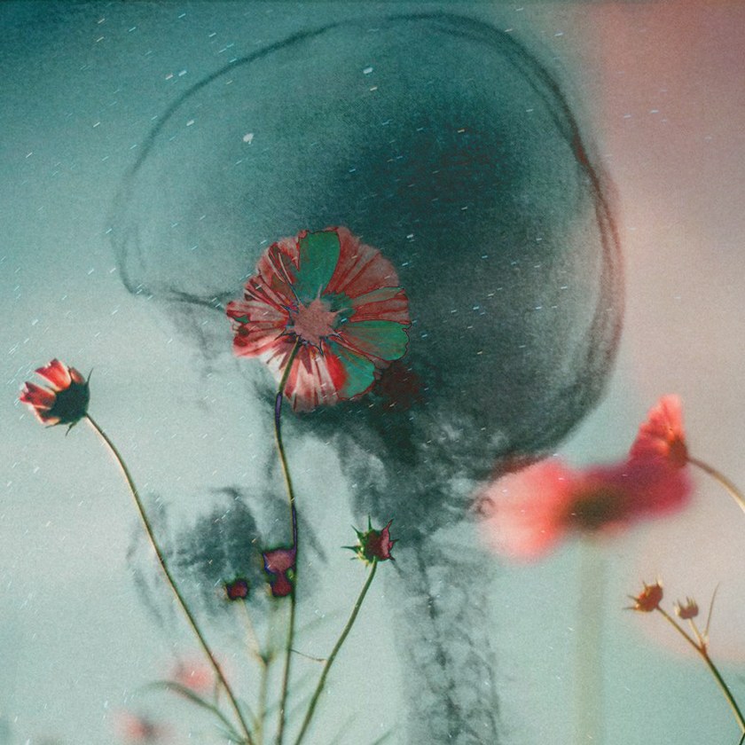 flowers and death #7 static token preview