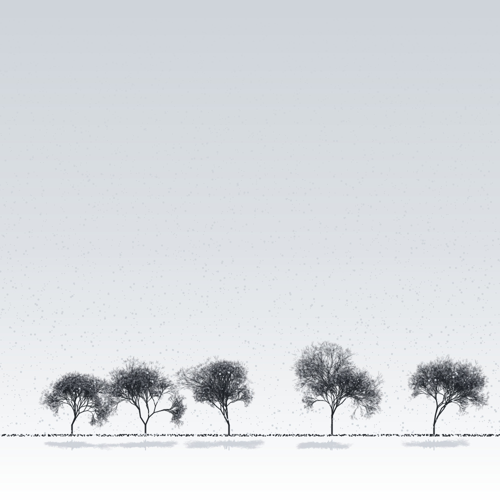 Sakuras in the snow #18 static token preview
