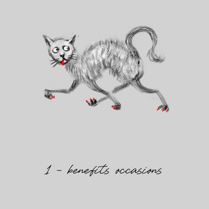Name your cat project preview
