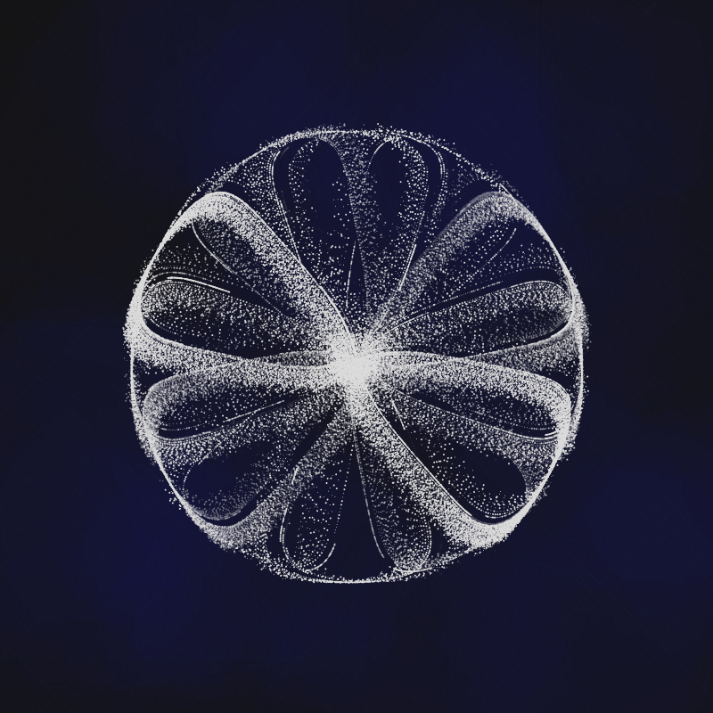 polar thread n.12 #49 static token preview