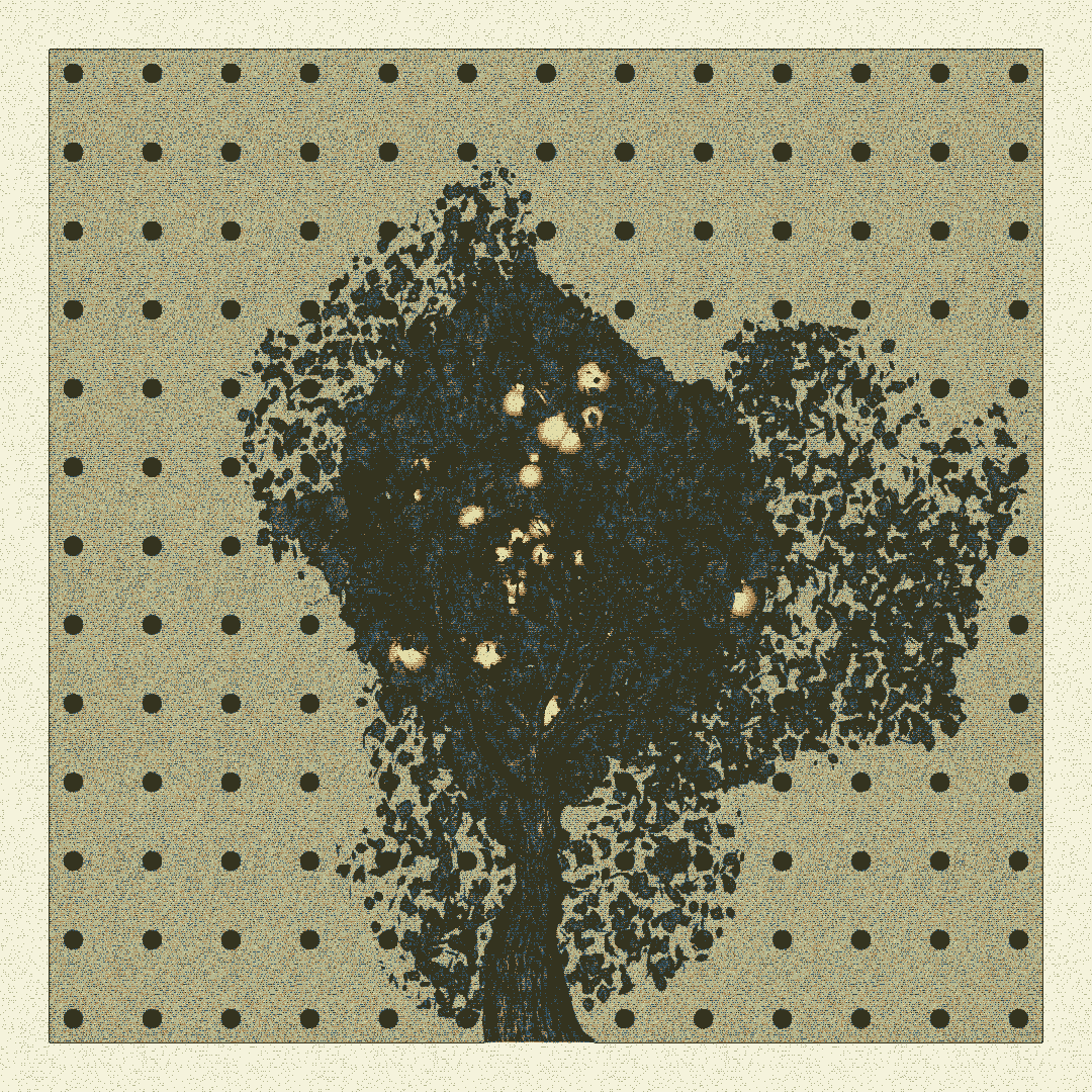 _argania[primaria] #22 static token preview
