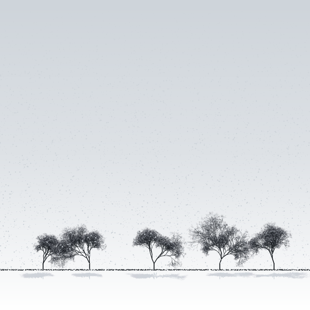 Sakuras in the snow #13 static token preview