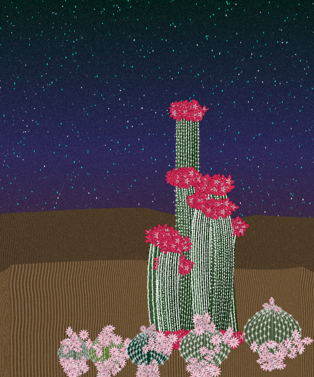 Cactigen #3 static token preview