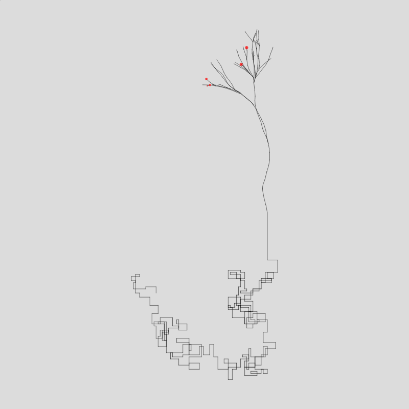 Algorithmic Tree #10 static token preview