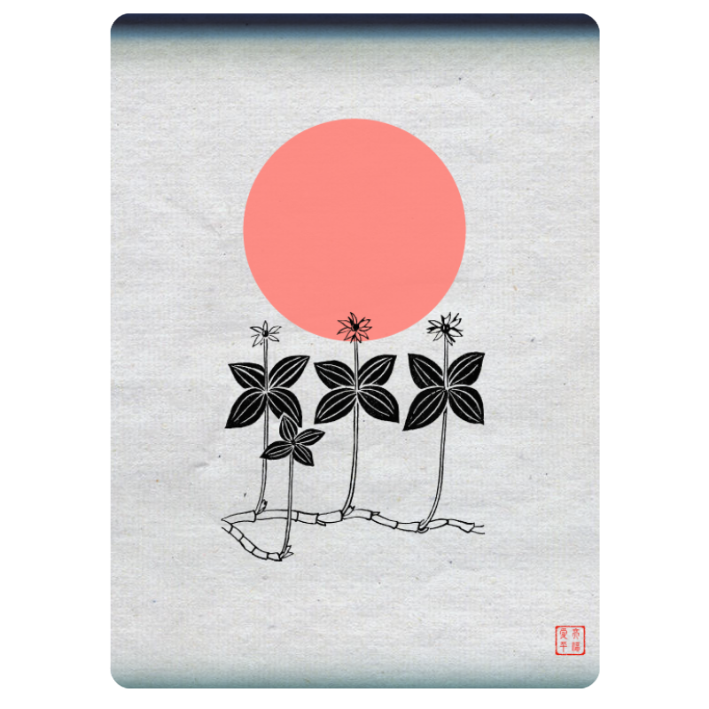 Zen flower card #14 static token preview