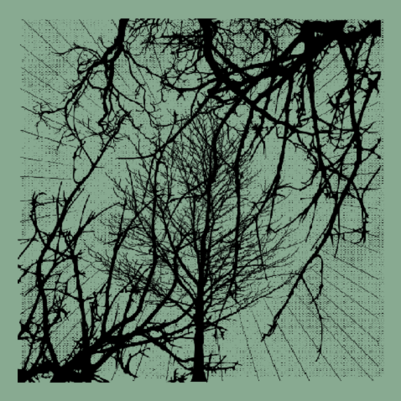 Forest of Shadows #24 static token preview