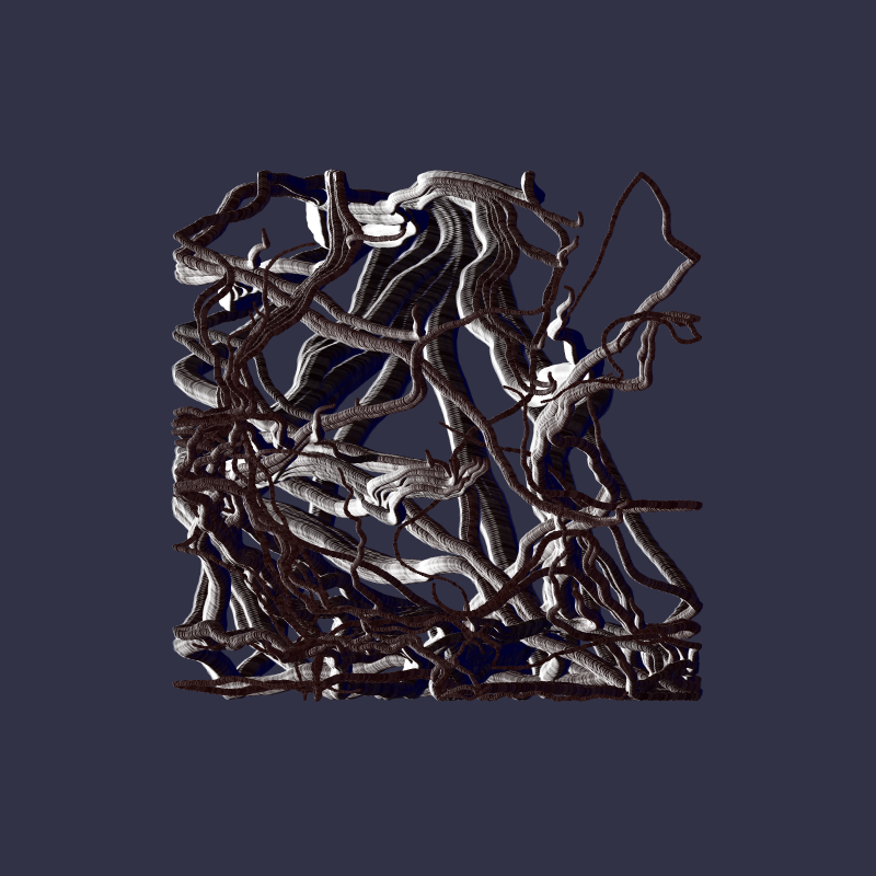 Root #3 static token preview