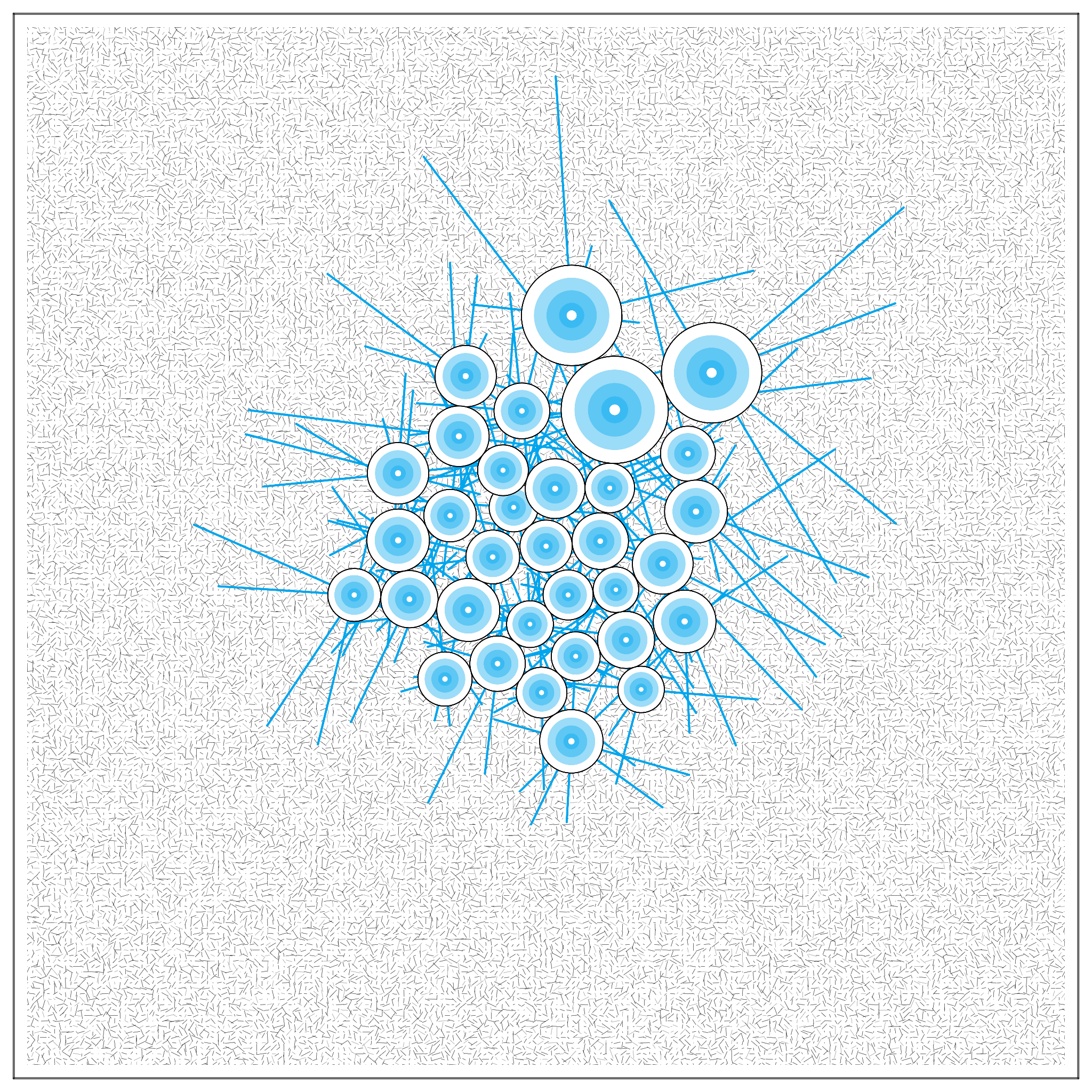 T#6Z#O #12 static token preview