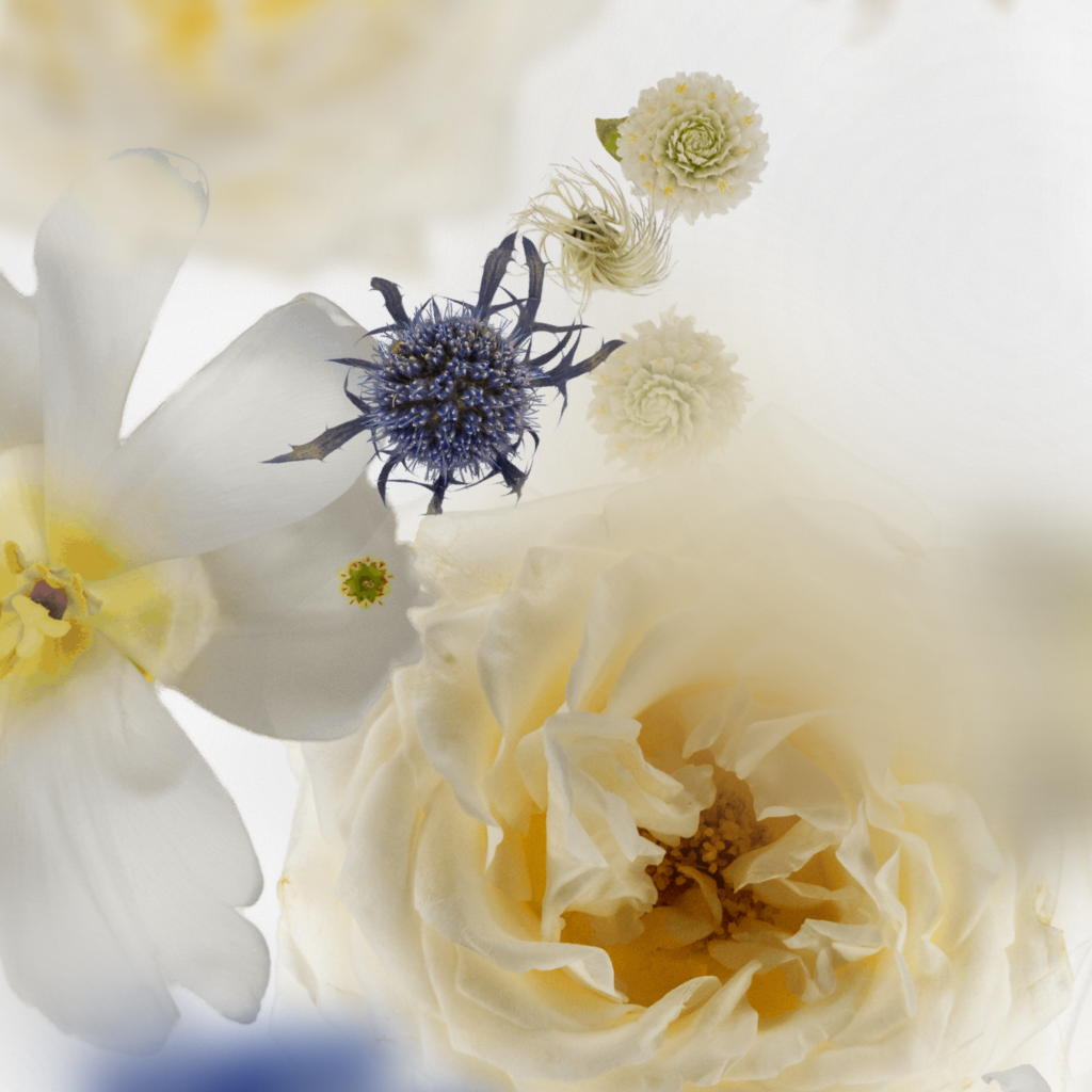 Broken Flowers #3 static token preview