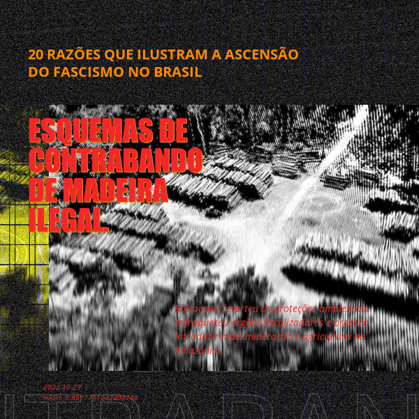 B4D - Brazil4Democracy #13 static token preview