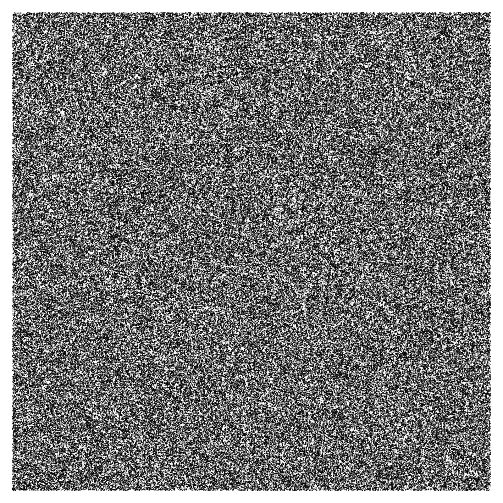 Noise #13 static token preview