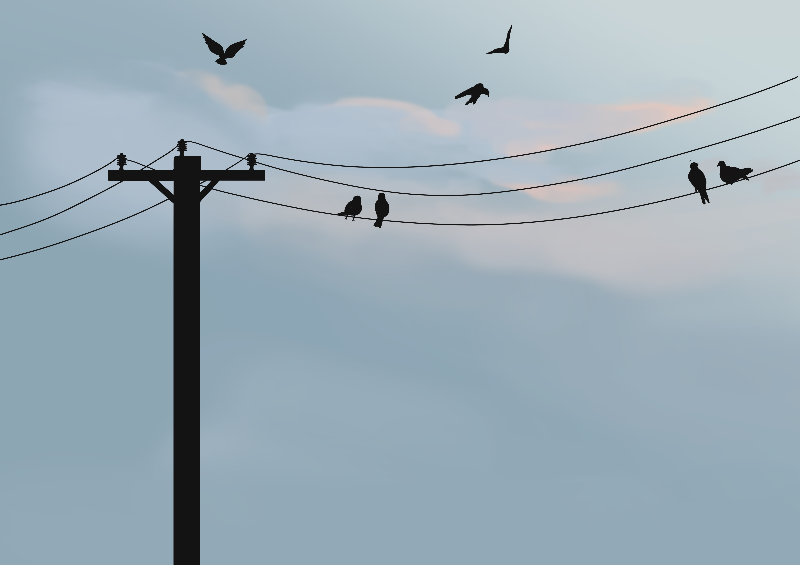 Online Birds #19 static token preview
