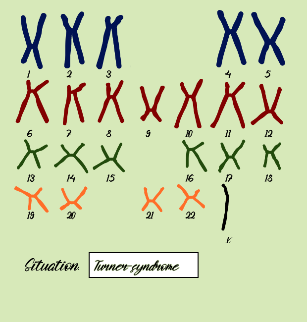 "Karyotype" #4 static token preview