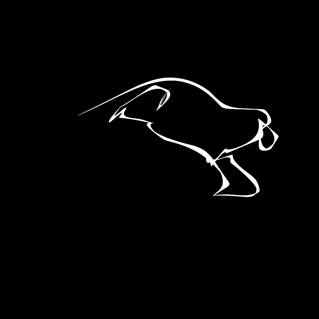What do you see? #7 static token preview