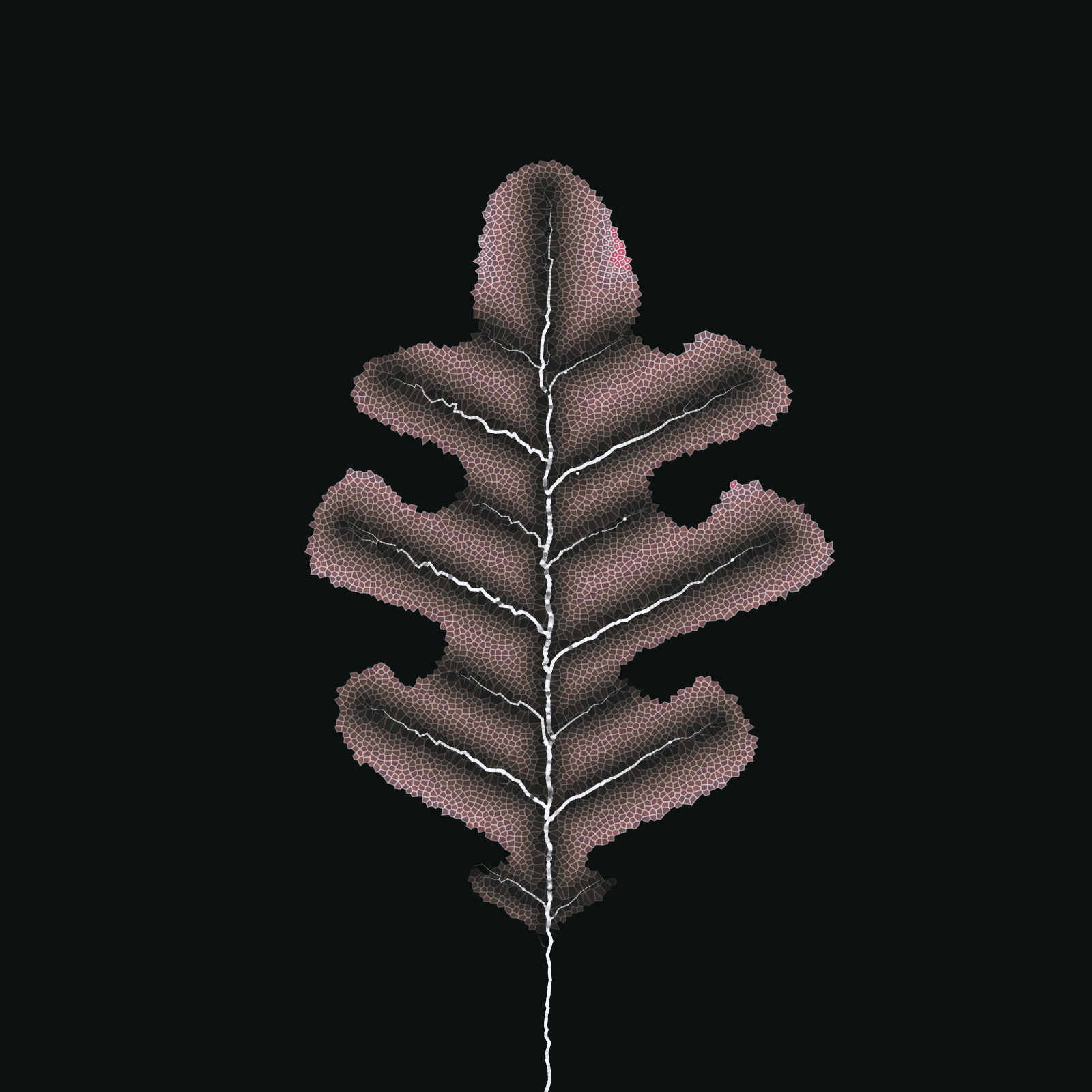 Leaf study #2 static token preview