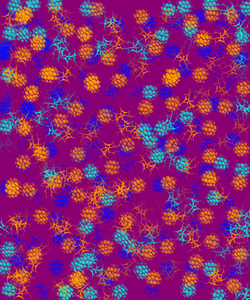 Blackberries project preview