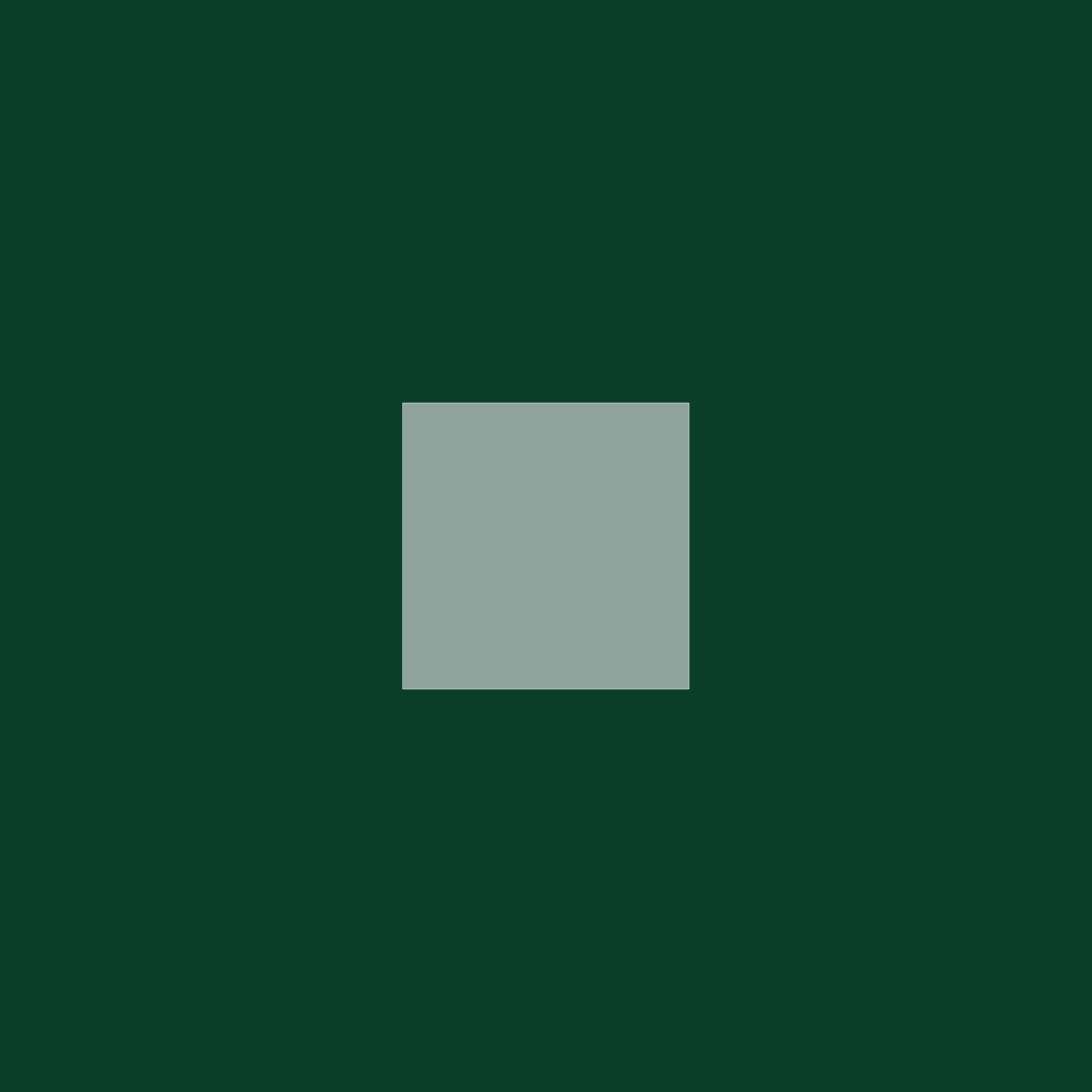 p5js tuto 'Square' fxhash-template #30 static token preview