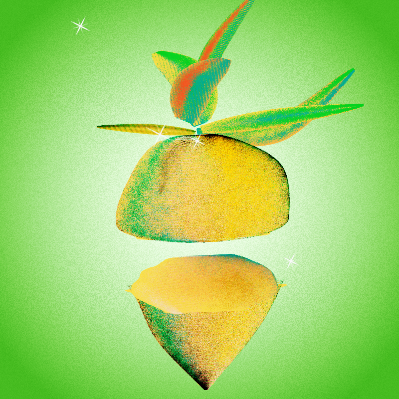 Fresh Fruit #13 static token preview