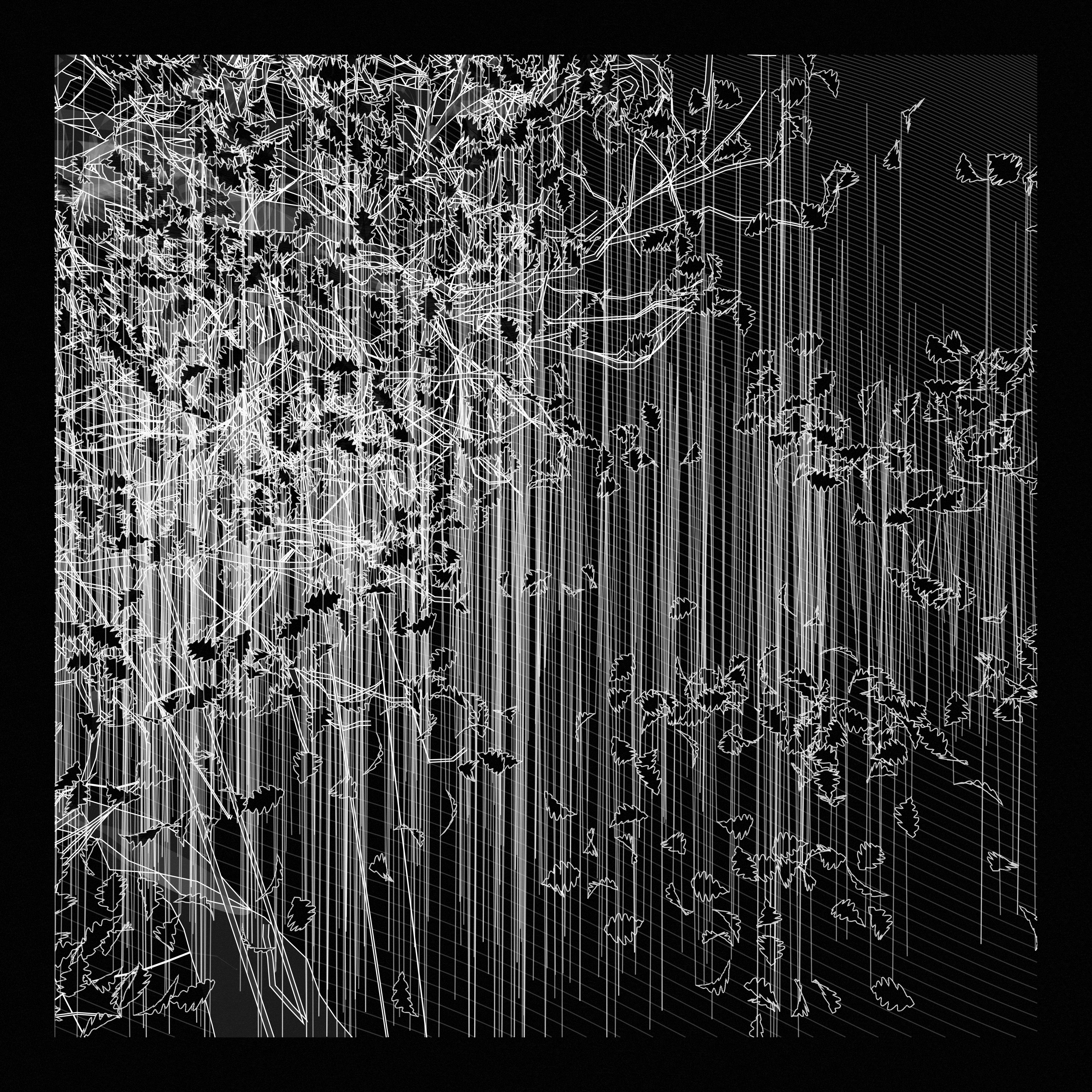 A Bugged Forest #223 static token preview