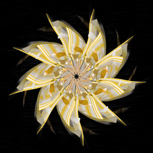 Slow Bloom project preview