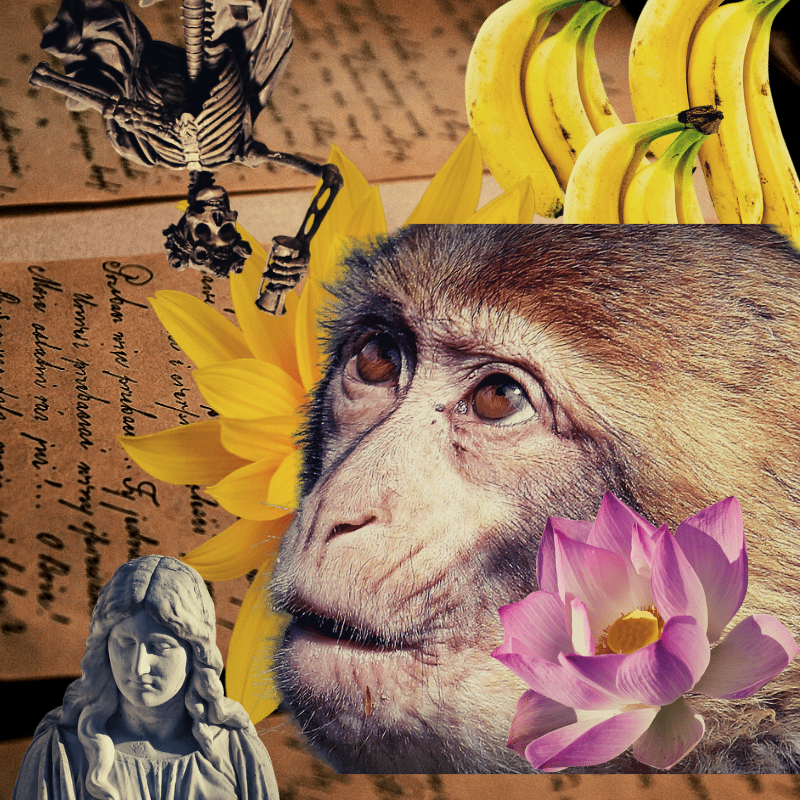 Banana flower #4 static token preview