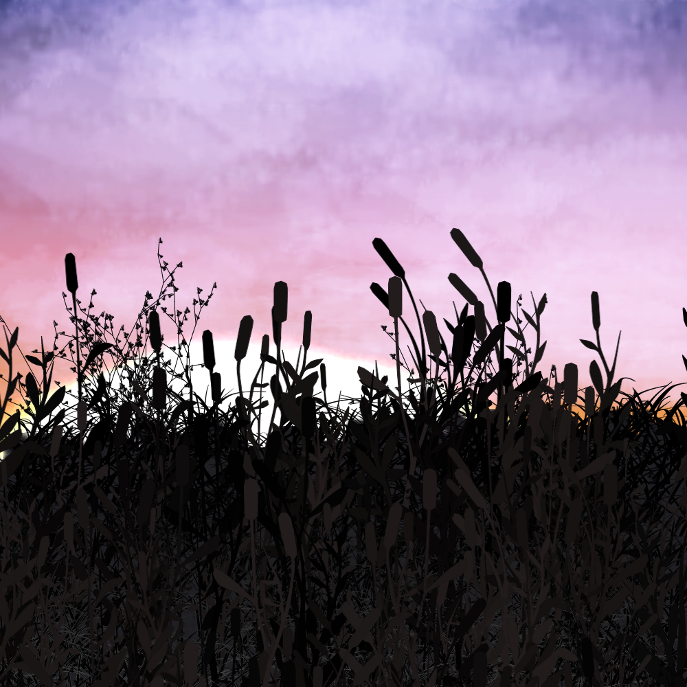 Walk in the field #19 static token preview