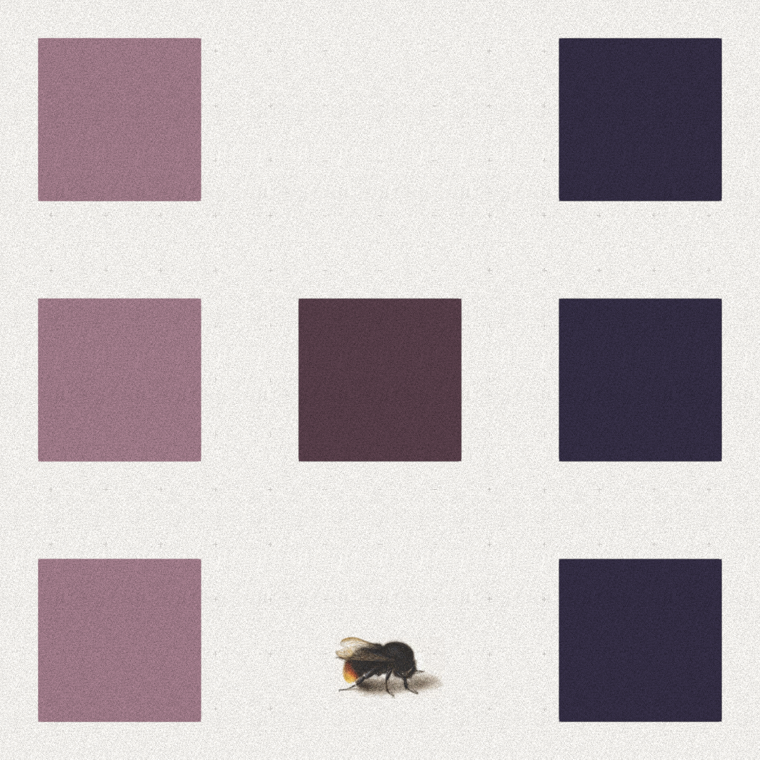 Bee #25 static token preview