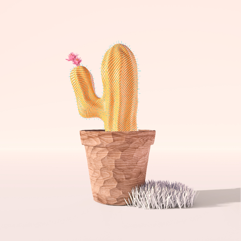 3D Crypto Cacti #2 static token preview