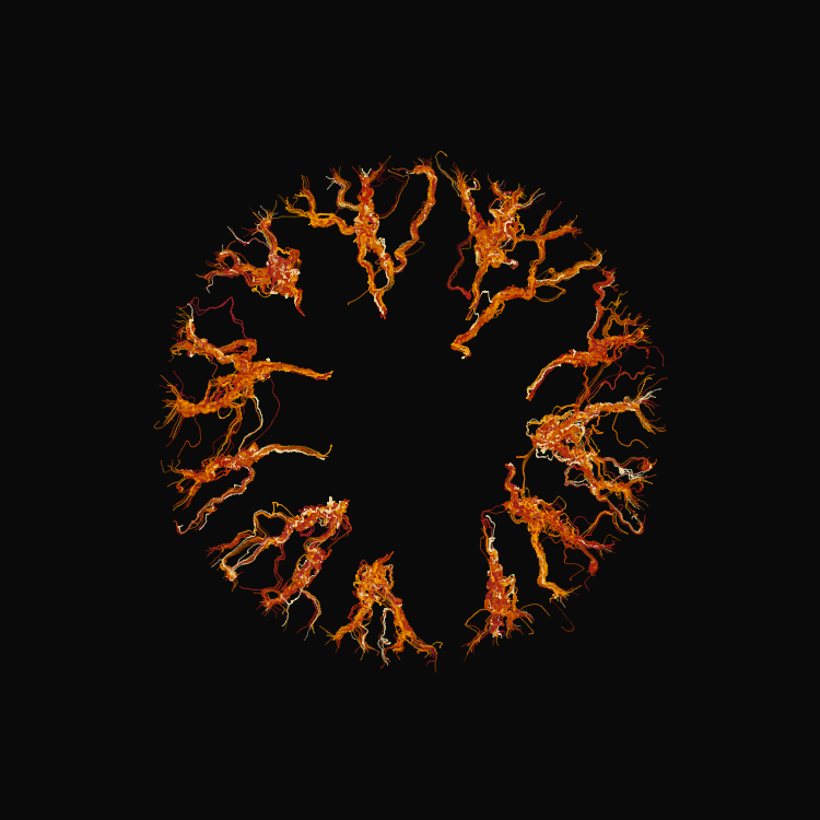 Ginseng #24 static token preview