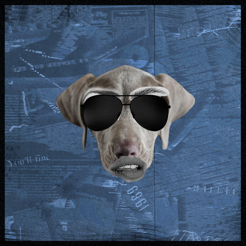 Doggenstein #13 static token preview