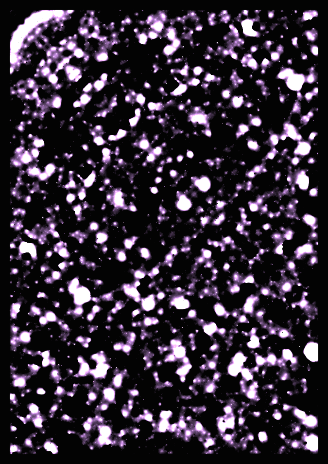 Cosmic Patterns #8 static token preview