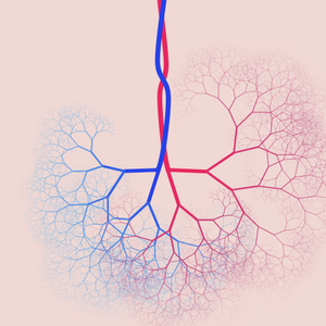 capillary trees project preview