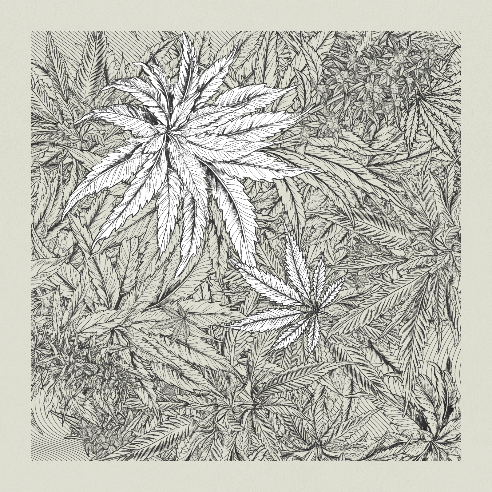 zancannabis #8 static token preview
